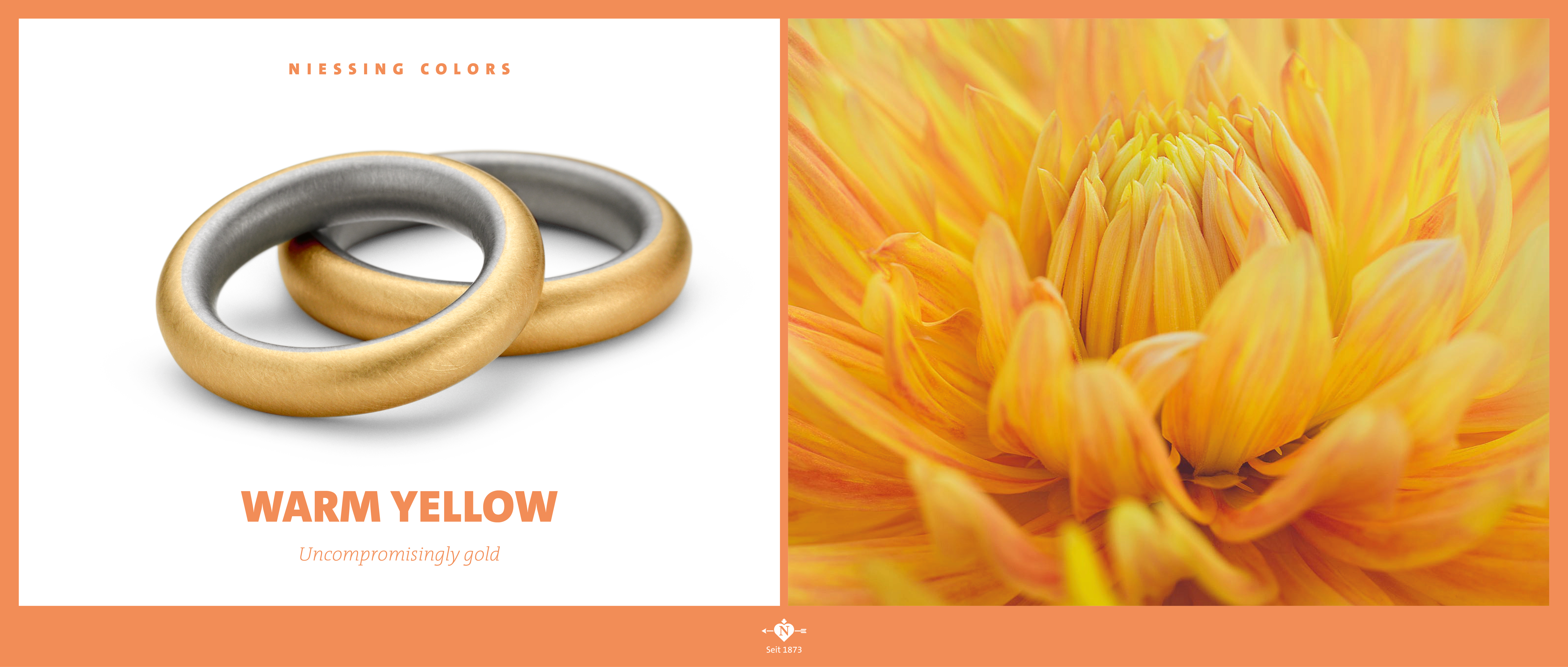 The most beautiful colors of Gold
