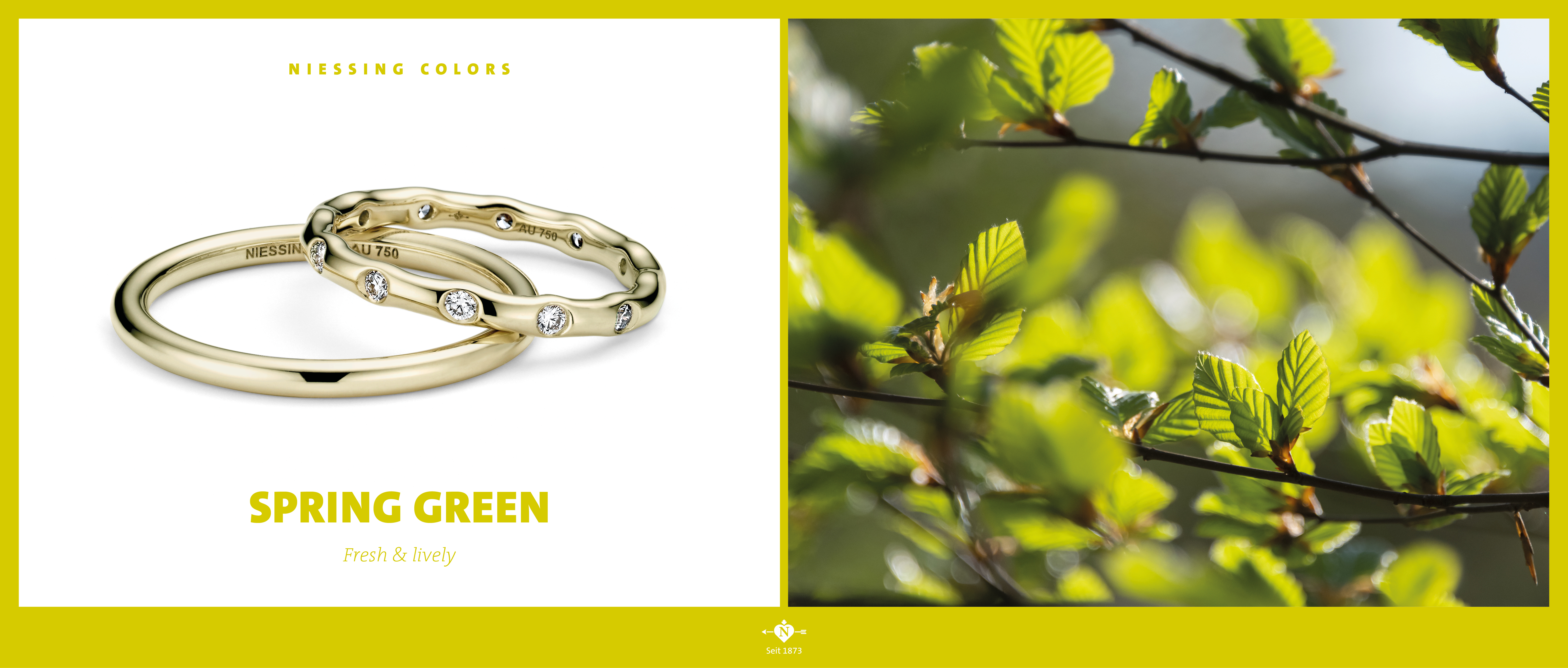 The most beautiful colors of Gold