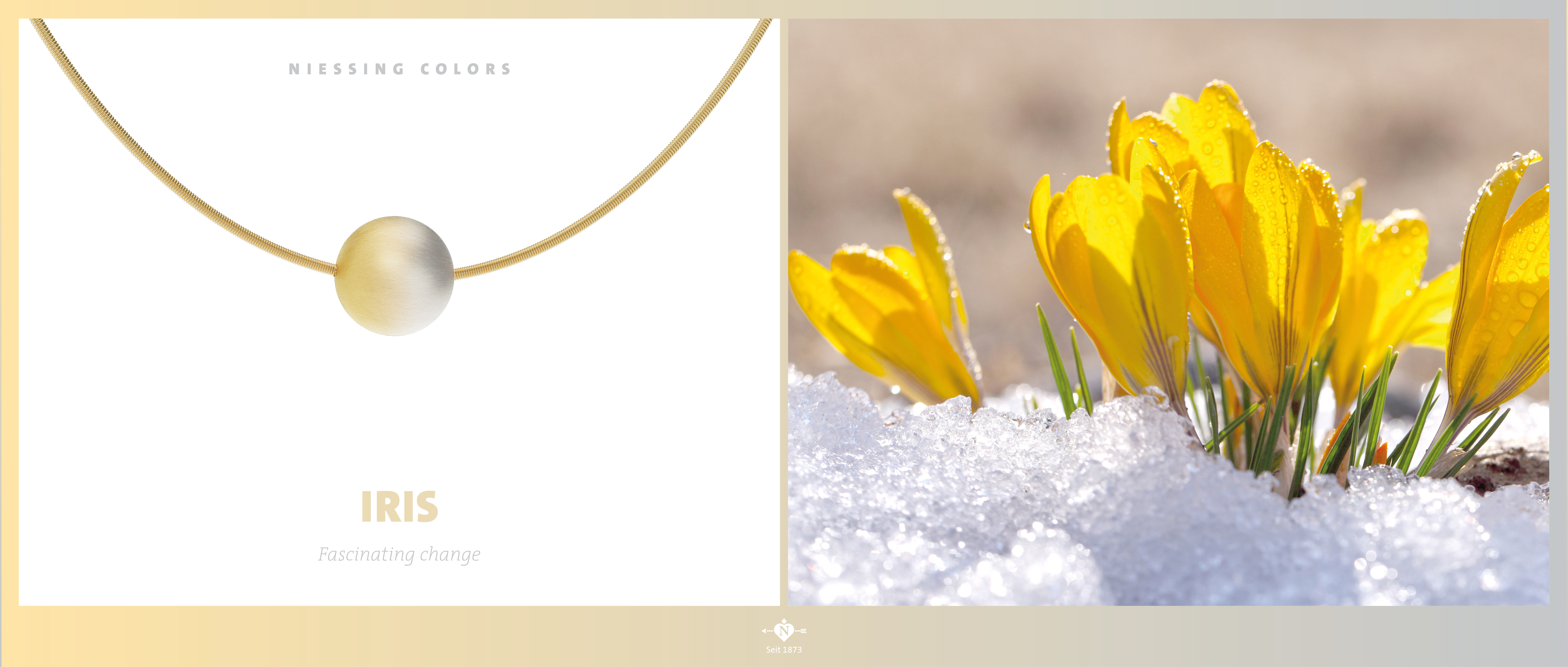 The most beautiful colors of Gold